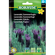 Lavendel, Sommerfugle-  